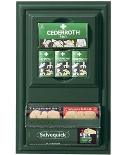 Cederroth small wound care point