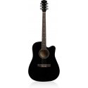 Axesmith Steel Cutaway 41 "acoustic guitar Axesmith Steel Cutaway 41 "acoustic guitar