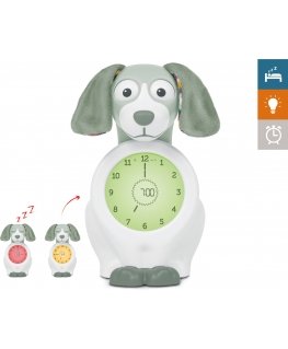 Alarm clock teaching a Zazu Davy sleep rhythm, dog, green