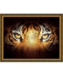 Beldizart Tiger Look 40x30 cm AZ-1827
