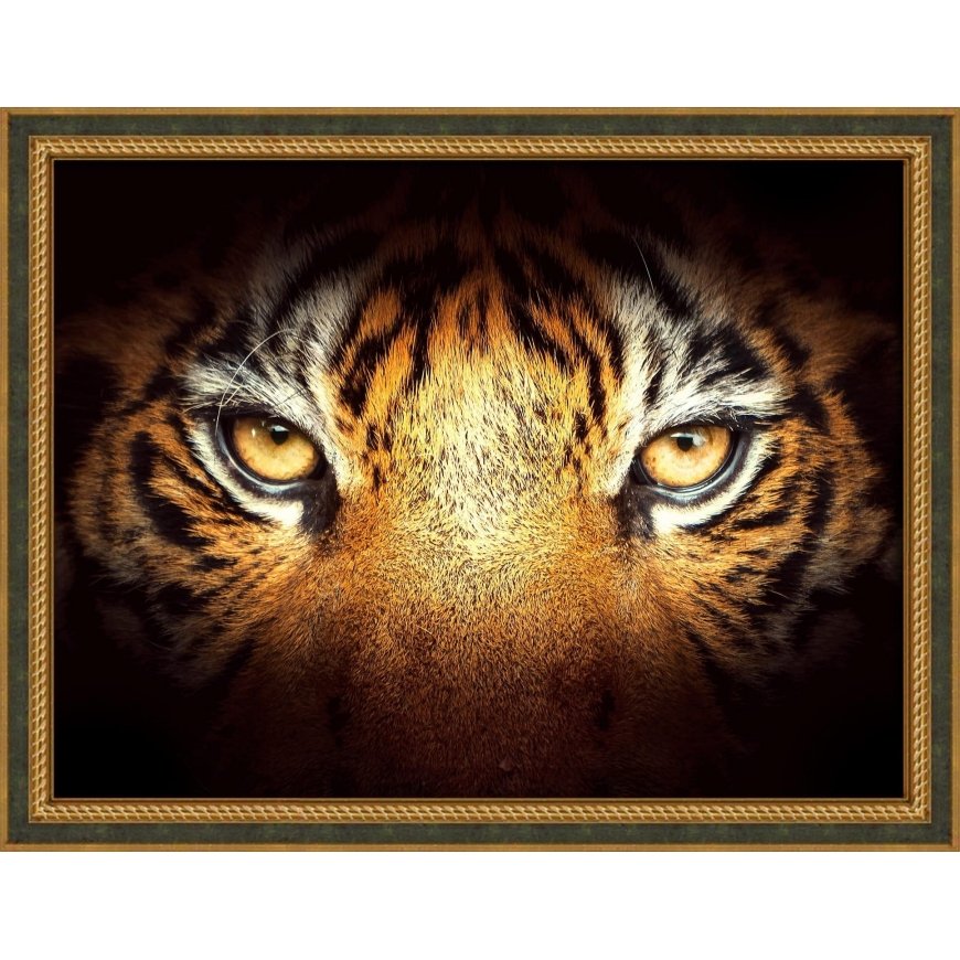 Beldizart Tiger Look 40x30 cm AZ-1827