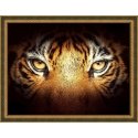 Beldizart Tiger Look 40x30 cm AZ-1827 Beldizart Tiger Look 40x30 cm AZ-1827