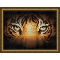 Beldizart Tiger Look 40x30 cm AZ-1827 Beldizart Tiger Look 40x30 cm AZ-1827