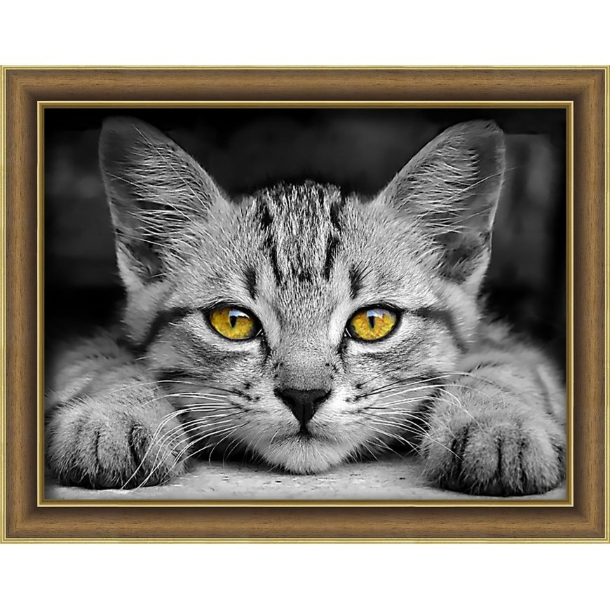 Beldizart Yellow-eyed kitten 40x30 cm AZ-1807