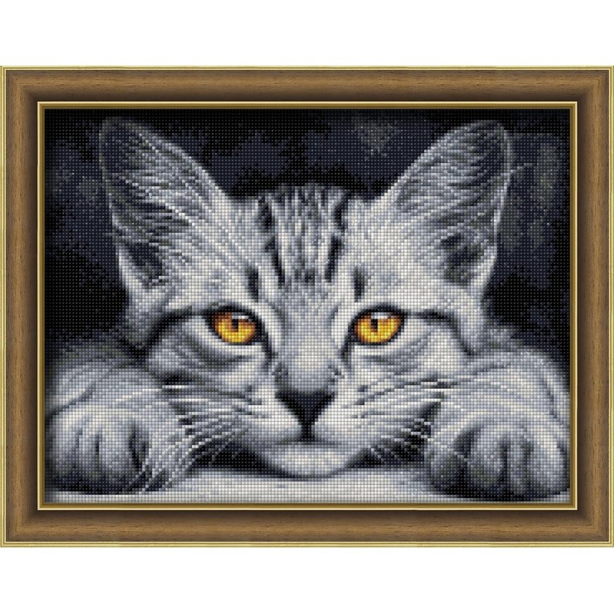Beldizart Geltonaakis kačiukas 40x30 cm AZ-1807 – 2