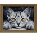 Beldizart Yellow-eyed kitten 40x30 cm AZ-1807 Beldizart Yellow-eyed kitten 40x30 cm AZ-1807