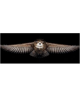 Beldizart Owl SANS-46