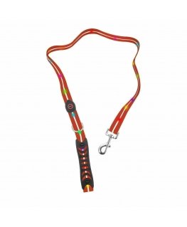 Media-Tech Color LED illuminated PVC leash for medium and big dogs, ed