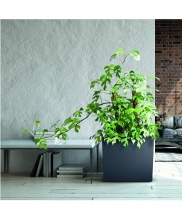 Prosperplast div class"int_ce_html"URBI CASE TOWER flower pot - anthracite/div