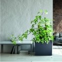 Prosperplast div class"int_ce_html"URBI CASE TOWER flower pot - anthracite/div Prosperplast div class"int_ce_html"URBI CASE TOWER flower pot - anthracite/div