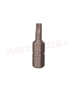 Makita Torx atsuktuvo antgalis TX15 10 vnt