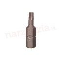 Makita Torx screwdriver bit TX15 10 pcs