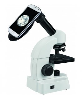 Microscope Prepared slide - spiny spider, Omegon