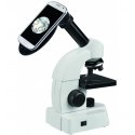 Microscope Prepared slide - spiny spider, Omegon Microscope Prepared slide - spiny spider, Omegon