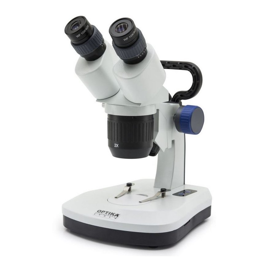 Microscope Prepared slide - spiny spider, Omegon – 2