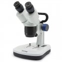 Microscope Prepared slide - spiny spider, Omegon Microscope Prepared slide - spiny spider, Omegon