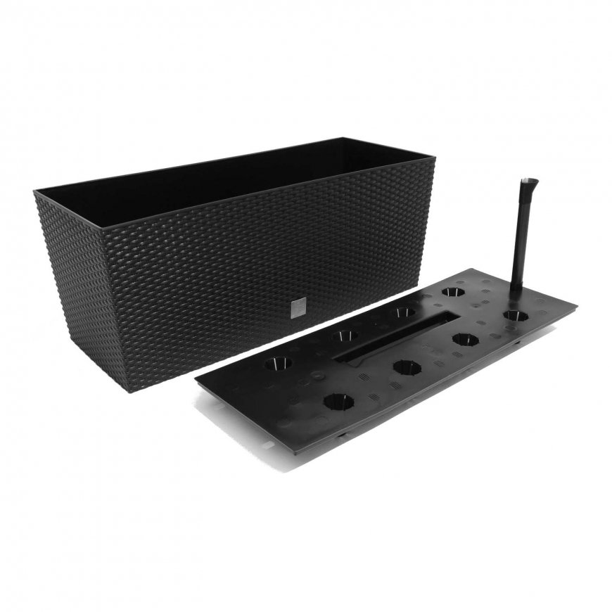 Prosperplast Flower pot with insert Rato Case DRTC600 anthracite