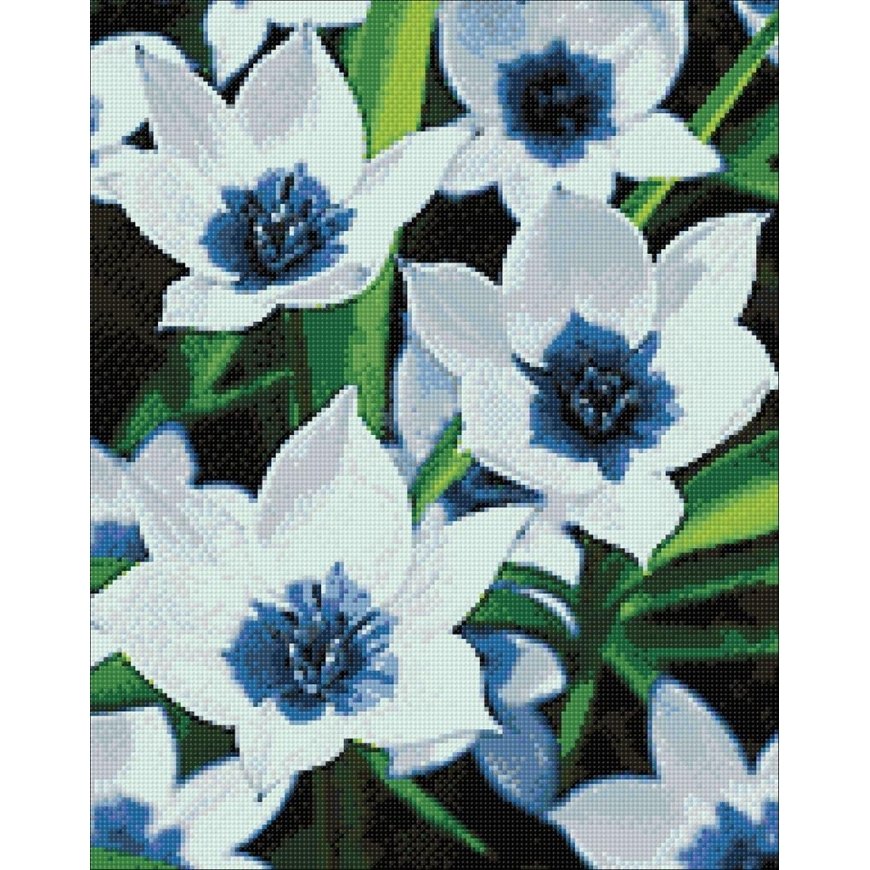 Beldizart SALE (discontinued) Blue-eyed tulips 38*48 cm WD034 – 2