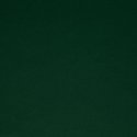 Eurofirany LOGAN blackout night curtain, 140X270 cm, loops / rings, color: dark green Eurofirany LOGAN blackout night curtain, 140X270 cm, loops / rings, color: dark green