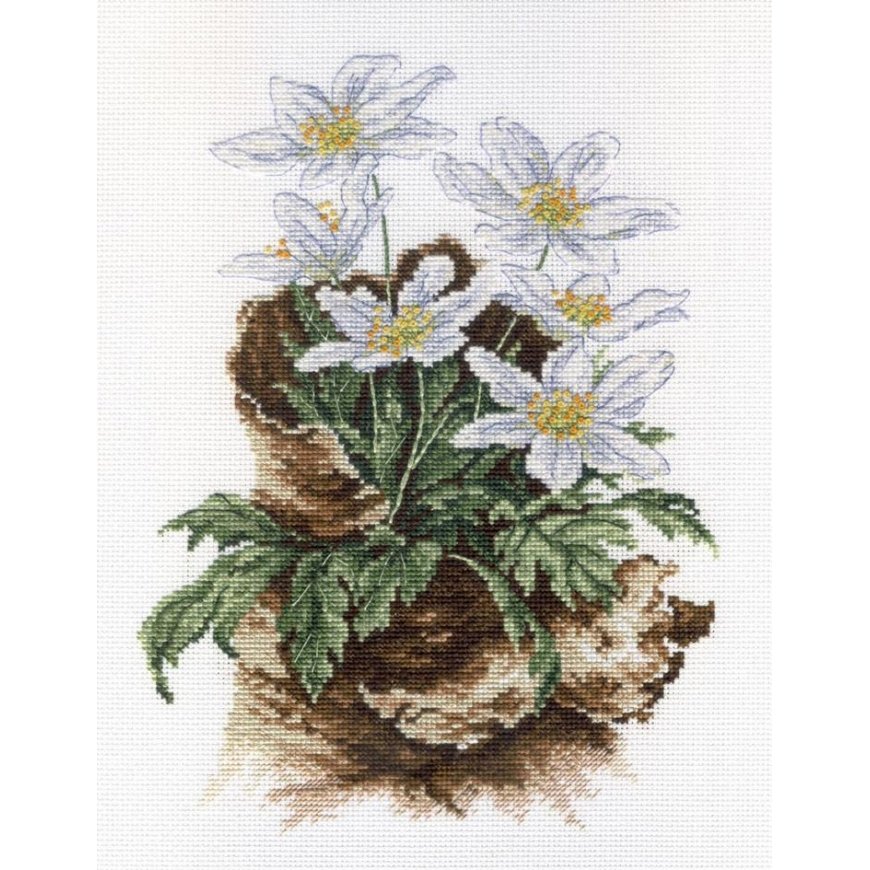 Beldizart First flowers SNV-567