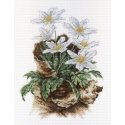 Beldizart First flowers SNV-567 Beldizart First flowers SNV-567
