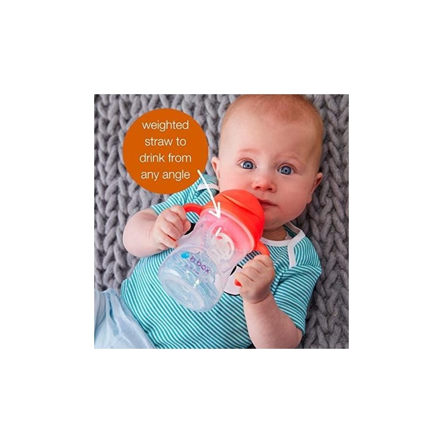 B.Box Innovative water bottle with straw Pistachio 6m+ B.Box – 4