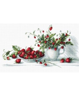 luca S Strawberry SB2277