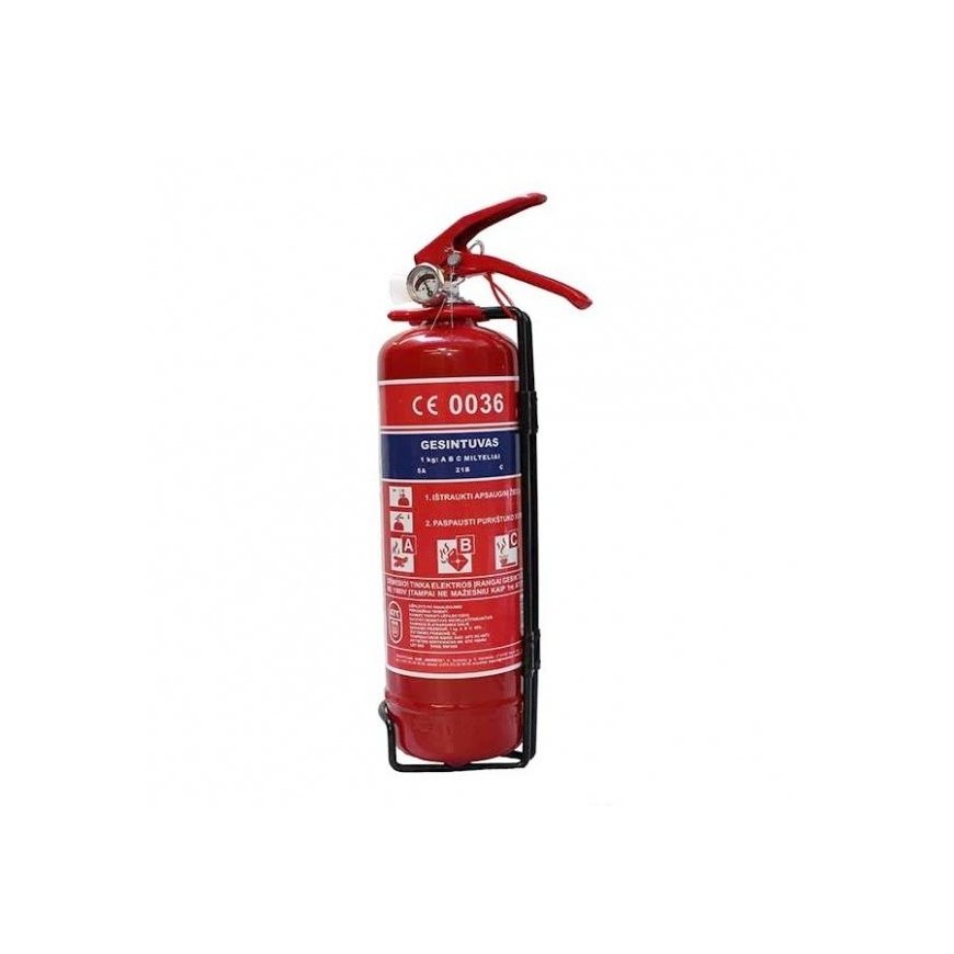 Reinold Max 1kg miltelinis gesintuvas