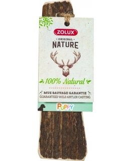 Zolux PUPPY deer antlers with polished edges