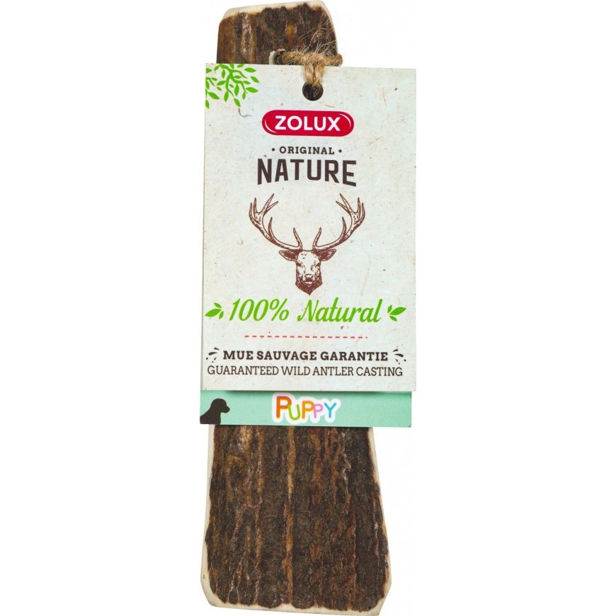 Zolux PUPPY deer antlers with polished edges
