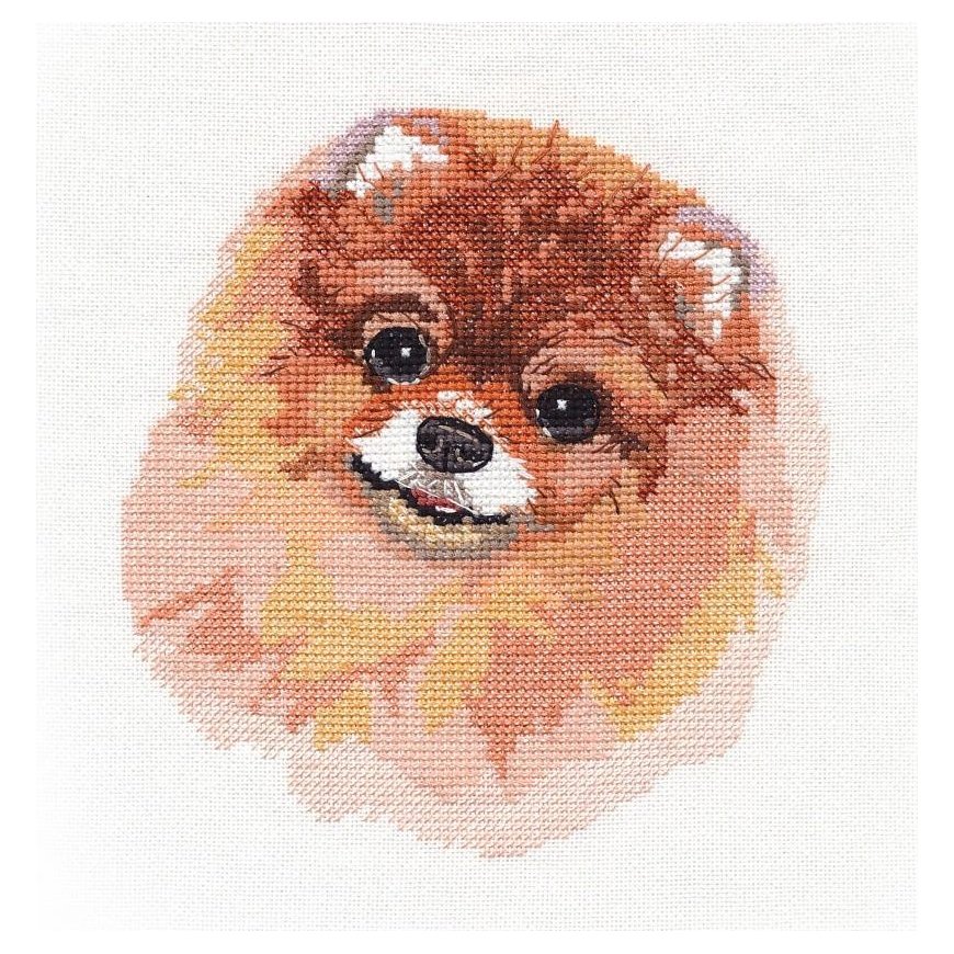 Beldizart (Discontinued) Pomeranian S1324