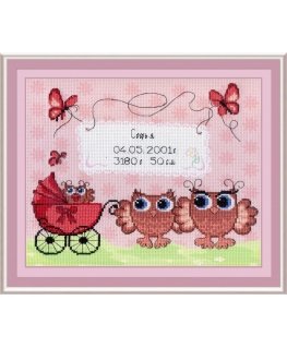 Beldizart Birth Sampler Owlets SRK-317