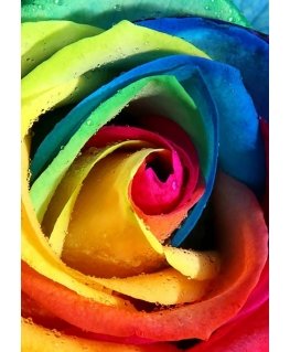 Beldizart Rainbow rose 20*30 cm WD023