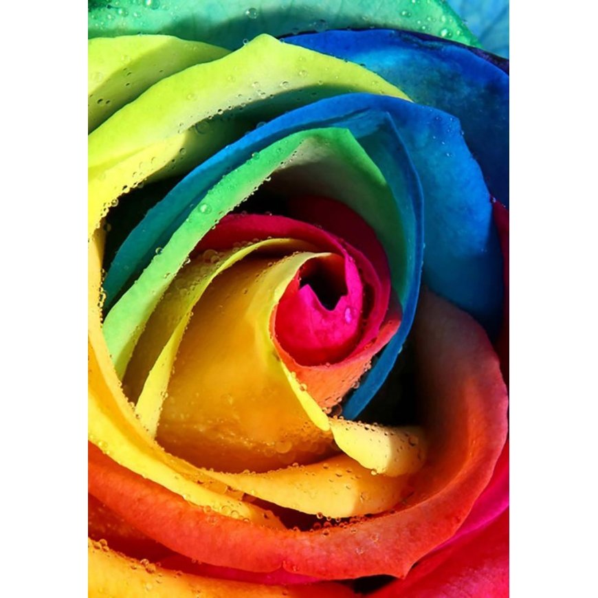 Beldizart Rainbow rose 20*30 cm WD023