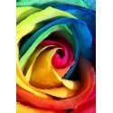 Beldizart Rainbow rose 20*30 cm WD023