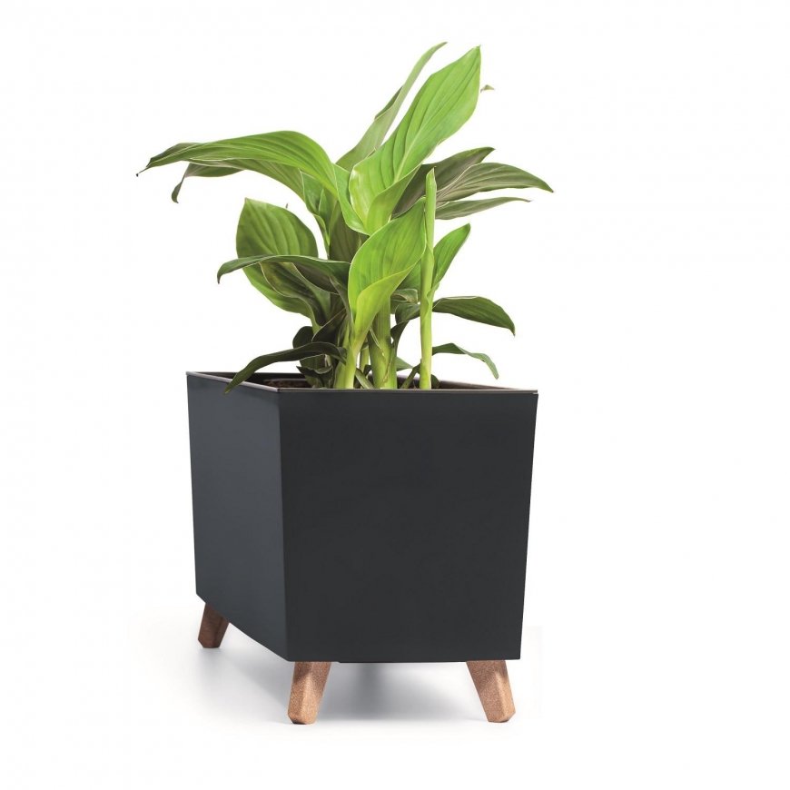 Prosperplast div class"int_ce_html"URBI CASE flower pot - anthracite/div – 4