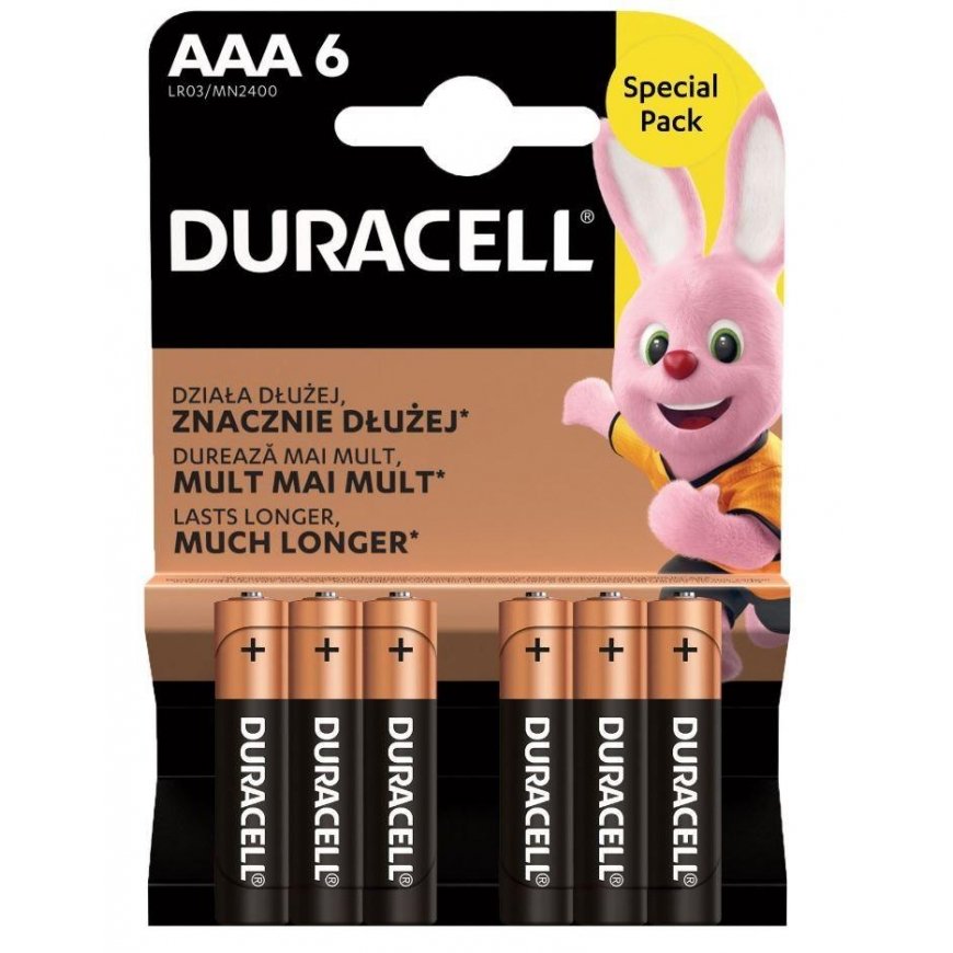Duracell Basic LR3/AAA blister 24