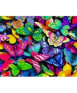 Beldizart Rainbow butterflies 48*38 cm WD057