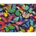 Beldizart Rainbow butterflies 48*38 cm WD057 Beldizart Rainbow butterflies 48*38 cm WD057