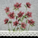 Eurofirany FIR/ISA/B+BORD 60X150 Day curtains Eurofirany FIR/ISA/B+BORD 60X150 Day curtains