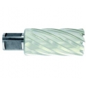 Tivoli Metal drill bit Ø23X80X50 mm HSS, mounting Ø19 mm, Weldon Tivoli Metal drill bit Ø23X80X50 mm HSS, mounting Ø19 mm, Weldon