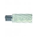 Tivoly Metalo gręžimo freza Ø23X80X50 мм HSS, tvirtinimas Ø19 мм, Weldon Tivoly Metalo gręžimo freza Ø23X80X50 мм HSS, tvirtinimas Ø19 мм, Weldon