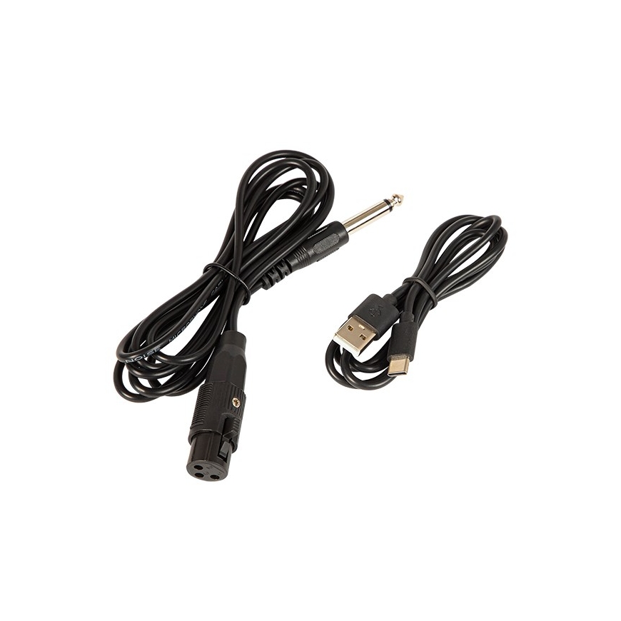 Bluetooth skaļrunis CityLIGHT + tālvadības pults + mikrofons – 4