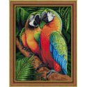Beldizart Macaw in the jungle 30*40 cm AM1791 Beldizart Macaw in the jungle 30*40 cm AM1791