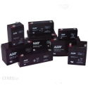 Greenworks 24V Akumuliatorius 4 Ah Greenworks G24B4WP+ su USB Greenworks 24V Akumuliatorius 4 Ah Greenworks G24B4WP+ su USB