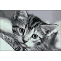 Beldizart Black and white cat 30 x 20 cm WD213 Beldizart Black and white cat 30 x 20 cm WD213