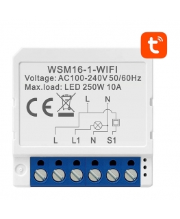 Smart Switch Module WiFi Avatto WSM16-W1 TUYA