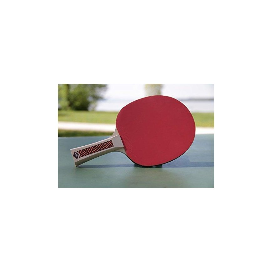 Stalo teniso raketė DONIC Champs 300 – 3