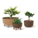 Prosperplast Vazonas Gracia Low Eco Wood DGRL400LW baltas eko Prosperplast Vazonas Gracia Low Eco Wood DGRL400LW baltas eko