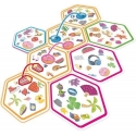 Zygomatic Dobble Connect (LT/LV/EE) Zygomatic Dobble Connect (LT/LV/EE)